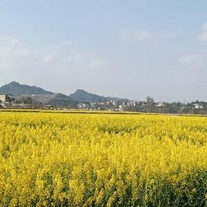 橱柜 卖点