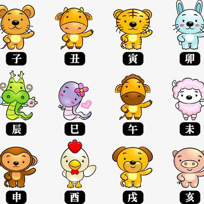 十二生肖女肖有哪几个