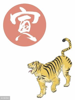 属龙和属虎的合不合