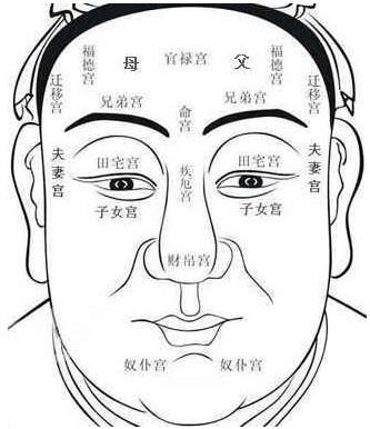 面相地库