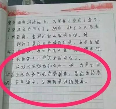 怎么写小学生活的作文