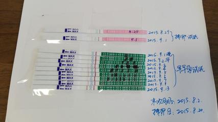 刚怀孕的排卵试纸图片