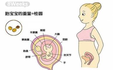 怀孕血压低是怎么回事