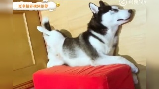 经常做梦被追杀