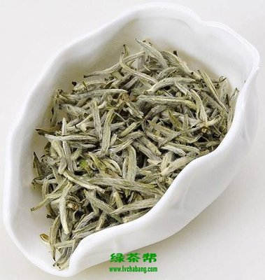 白毫茶的功效与作用