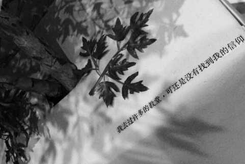 两个字霸气网名