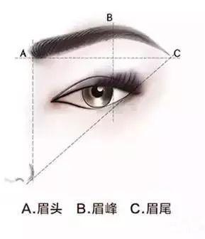 脸型眉毛