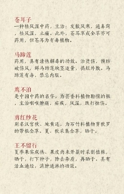 好听的中药昵称