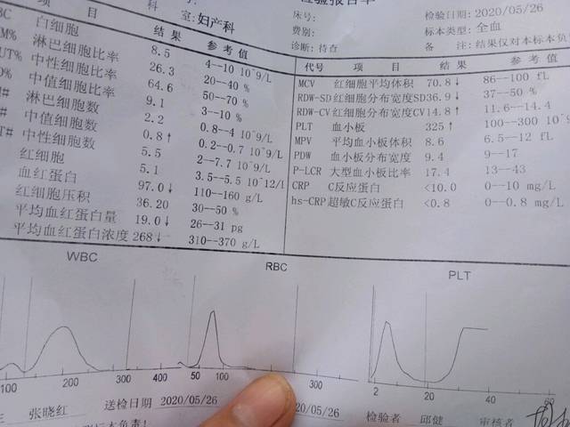 怀孕血常规