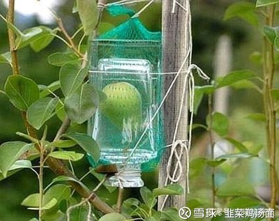 玻璃杯怎么做出来的