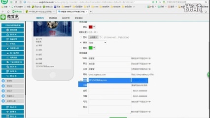 雷的五行属性是什么