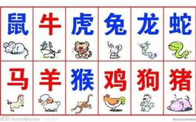 2005年属什么生肖几岁