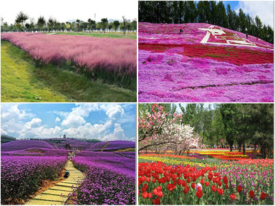 两个字花的名字
