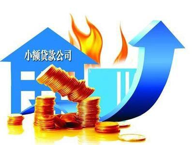 小额信用贷款公司