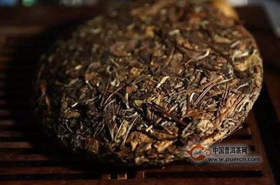 老白茶属于什么茶