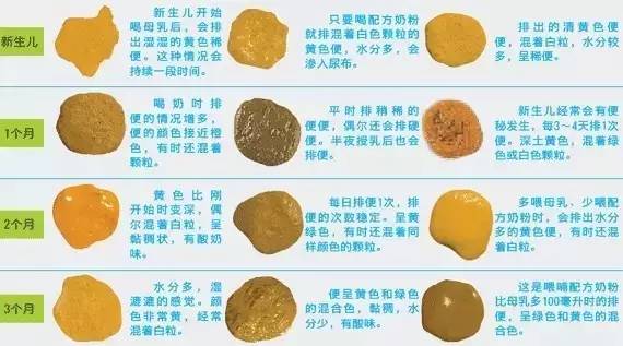 宝宝便便颜色