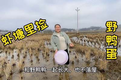 做梦捡鸭蛋是什么意思