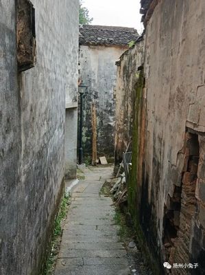 陶村在哪里