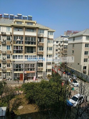 安徽砀山房价