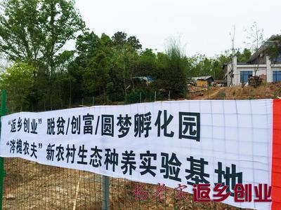 农村网名