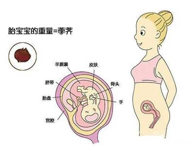 怀孕的第一反应是什么