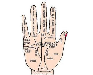 怎样看一个人的运势