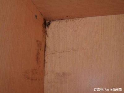 橱柜除霉