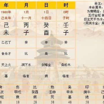 测五行属什么