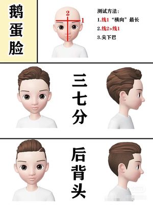 测试脸型适合的发型的软件