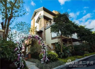 桃花源别墅小区