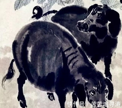 瞻前顾后的生肖