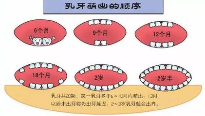 新生儿出牙顺序