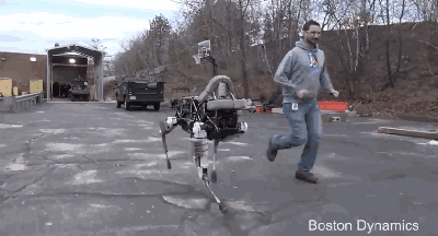 科学家机器人穿马路