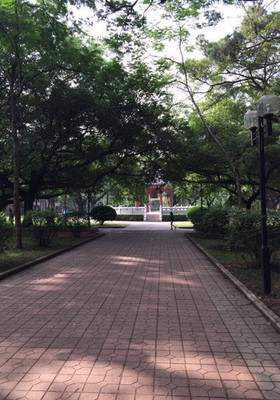 广州中山大学在哪个区