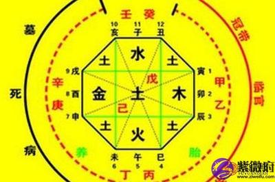 五行用神查询