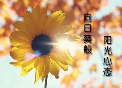 阳光心态日 怎么讲