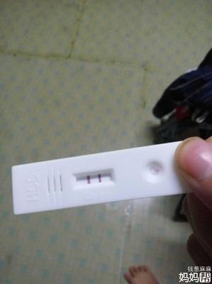 梦见我又怀孕了