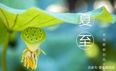今年什么时候开始数伏