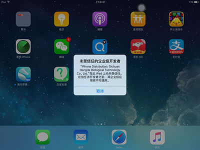 ipad怎么信任开发者