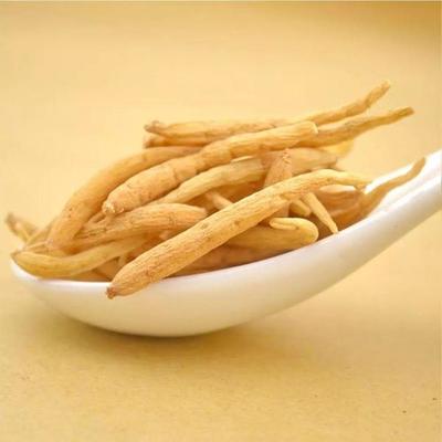 咳嗽可以吃太子参吗