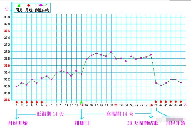 体温多少算是排卵后高温