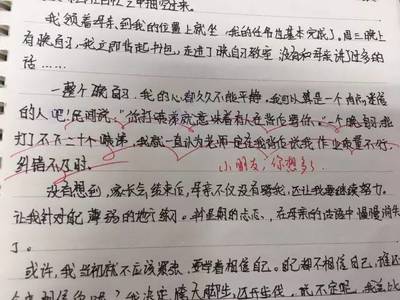 家长会周记800字作文怎么写