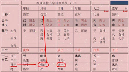 八字中吊客是什么意思