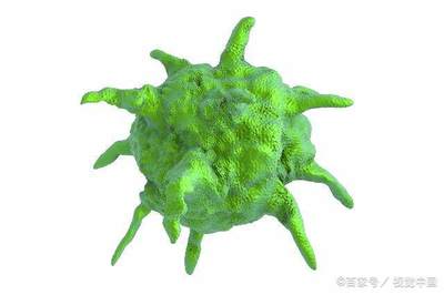 腺病毒怎么治疗效果好