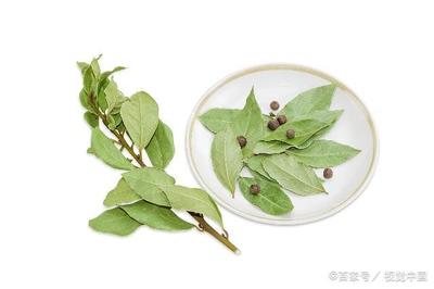 孕妇吃香叶