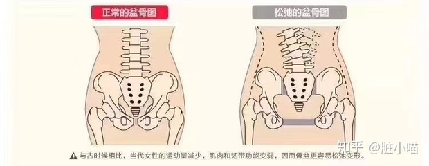 正常宝宝的肋骨图片