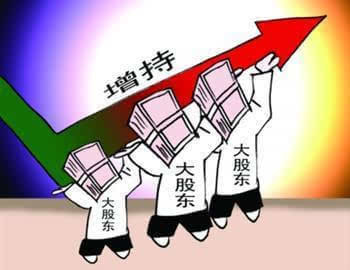 大股东权利
