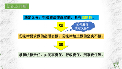 如何理解法律权利与义务的关系