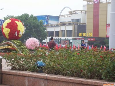 鄂州莲花1号消费多少