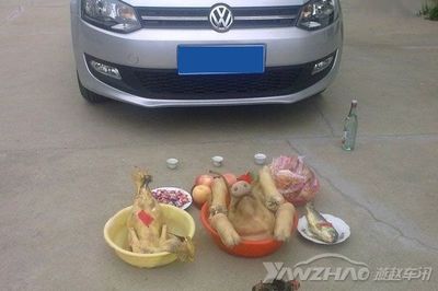 杀猪宰羊是什么生肖